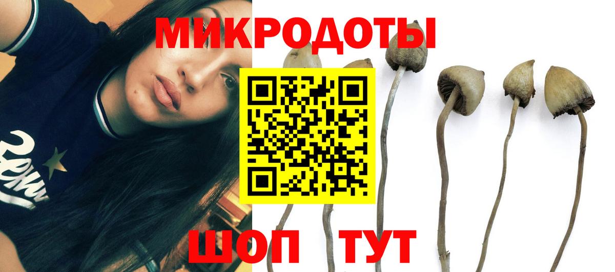 Псилоцибиновые грибы ЛСД  Галлюциногенные грибы прущие грибы  Вход с VPN  Балахна 