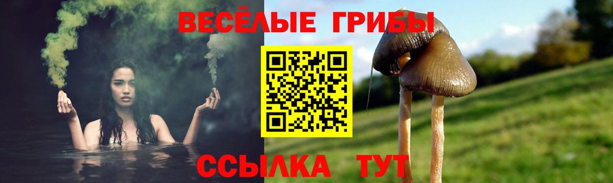 Галлюциногенные грибы Cubensis Балахна